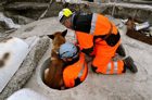Heros mit Marco bei der "Geburt" zum einsatzfähigen Katastrophenhundeteam